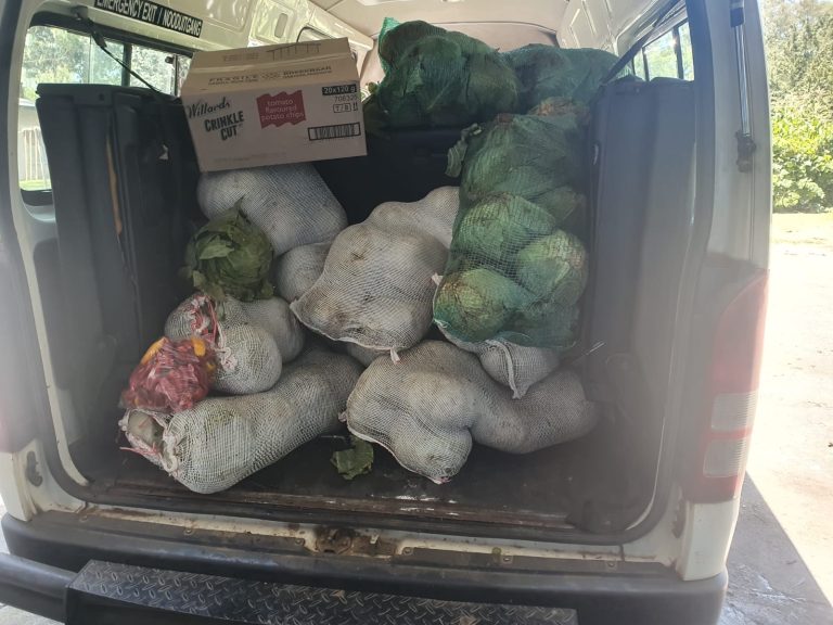 WhatsApp Image 2023-03-13 at 07.08.14